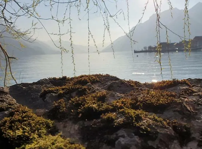 Loft4two Lejlighed *